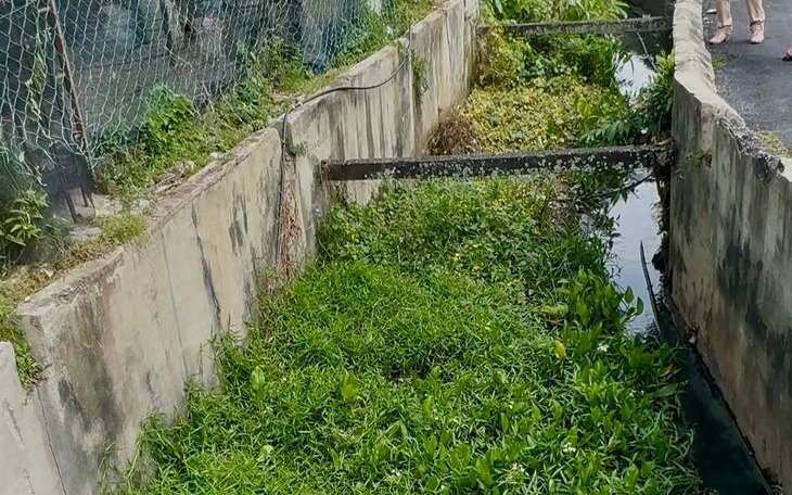 甘榜双溪甘旦获88万拨款 沟渠提升缓解水灾