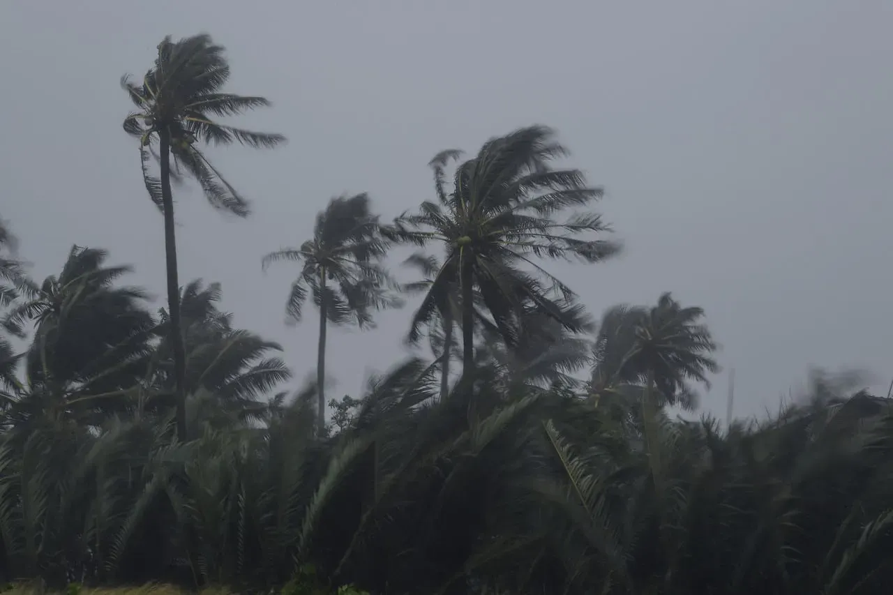 Amaran hujan berterusan di Pantai Timur, Johor bermula Khamis 