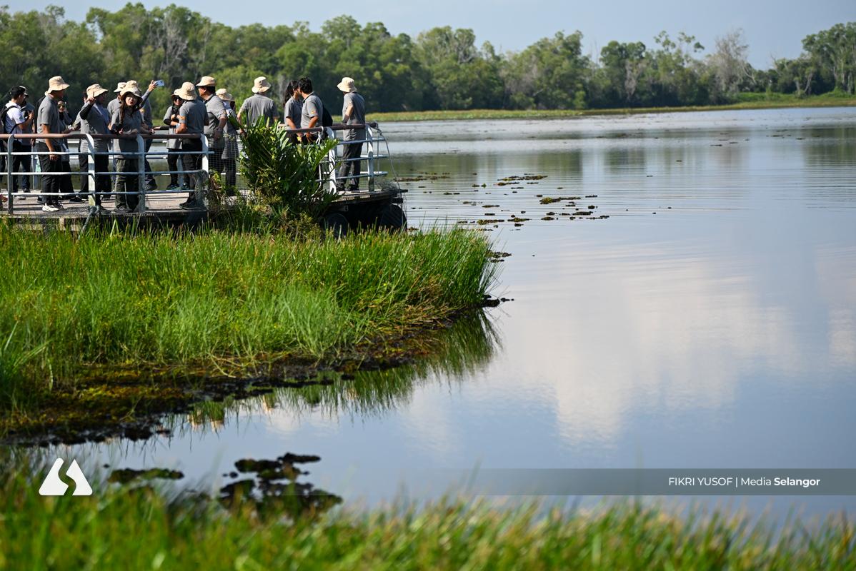 Lebih 7.4 juta pokok ditanam di Selangor, perkasa ekosistem, lestari alam sekitar