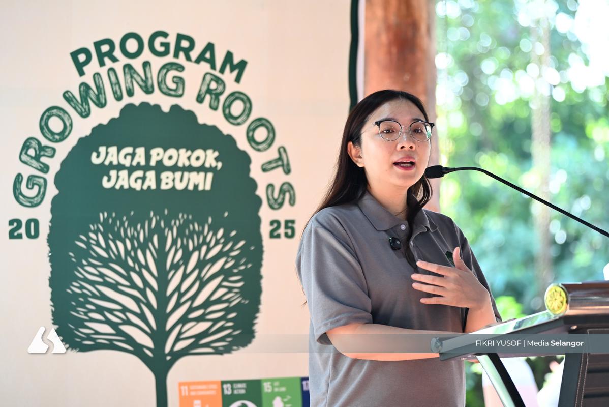 Over seven mln trees planted since 2021 in state drive for sustainability