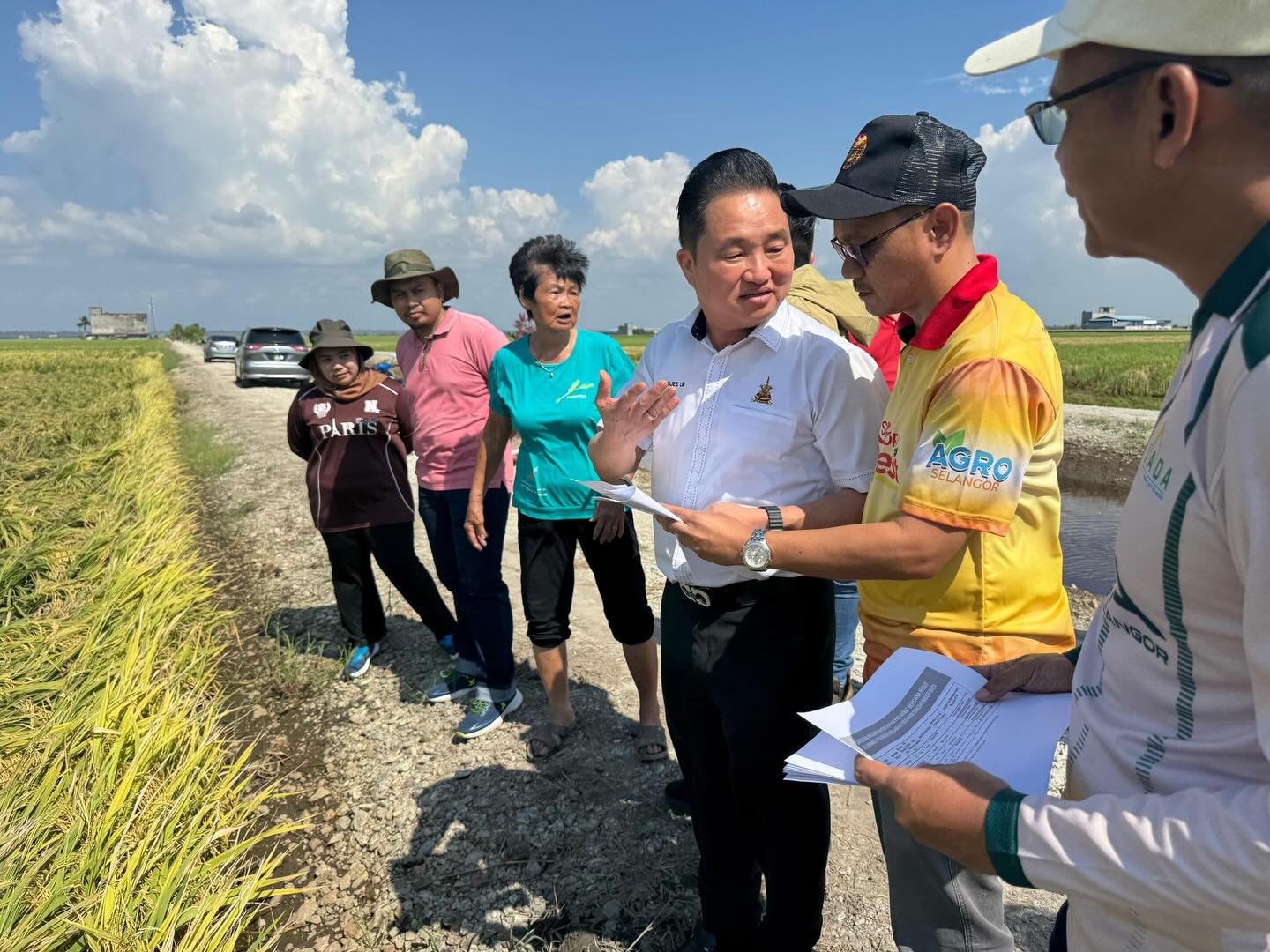 暴风雨毁134份稻田.适耕庄稻农重创 黄瑞林助申请保险减损失