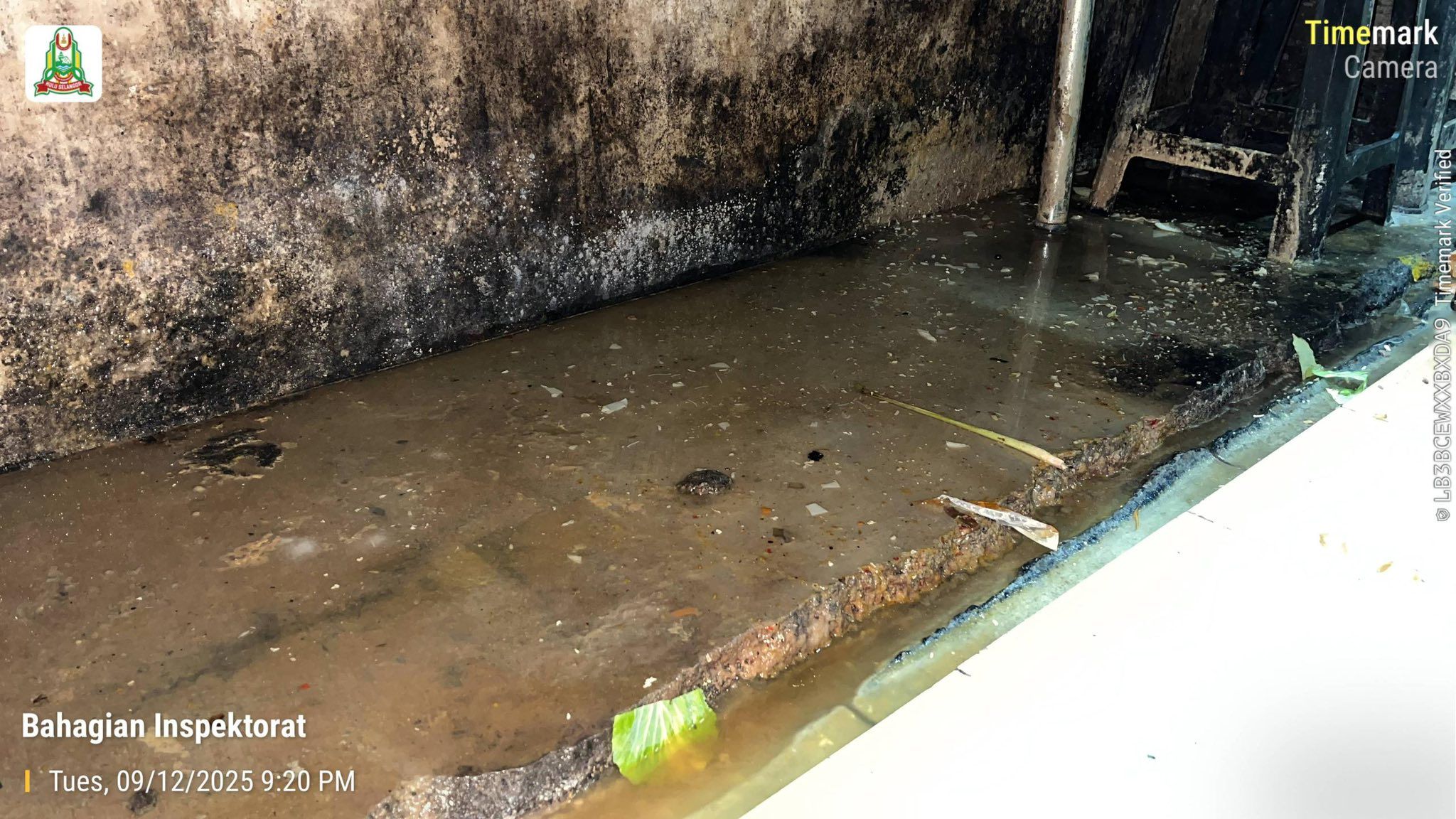 老鼠蟑螂出没厨房 乌雪2违规食肆被查封