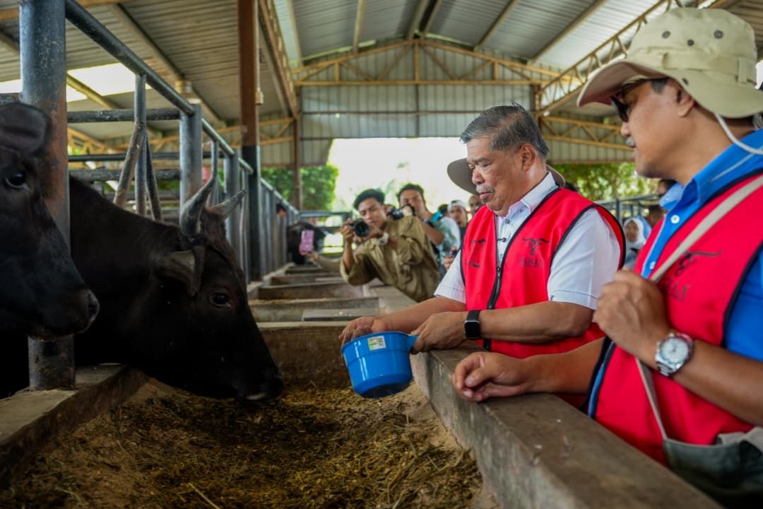 科拉屠宰场落户瓜雪  助提升本地清真肉类供应