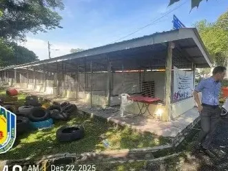 安邦市会设立猫咪收容所 保障动物与社区福祉