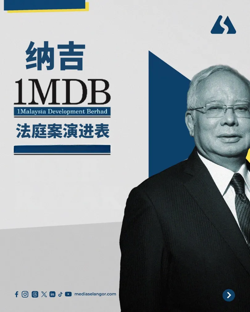 纳吉一马公司法庭案演进表