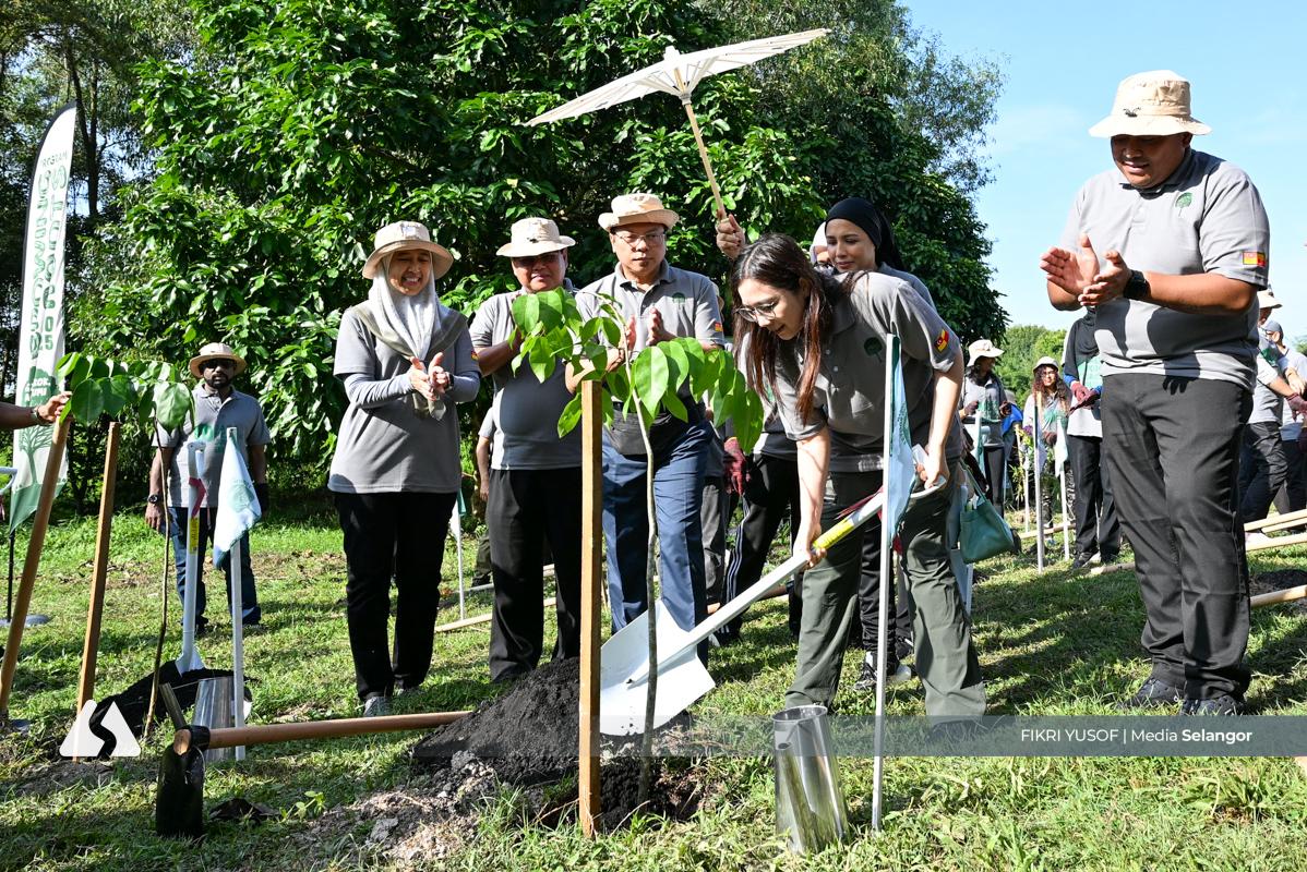 Lebih 7.4 juta pokok ditanam di Selangor, perkasa ekosistem, lestari alam sekitar