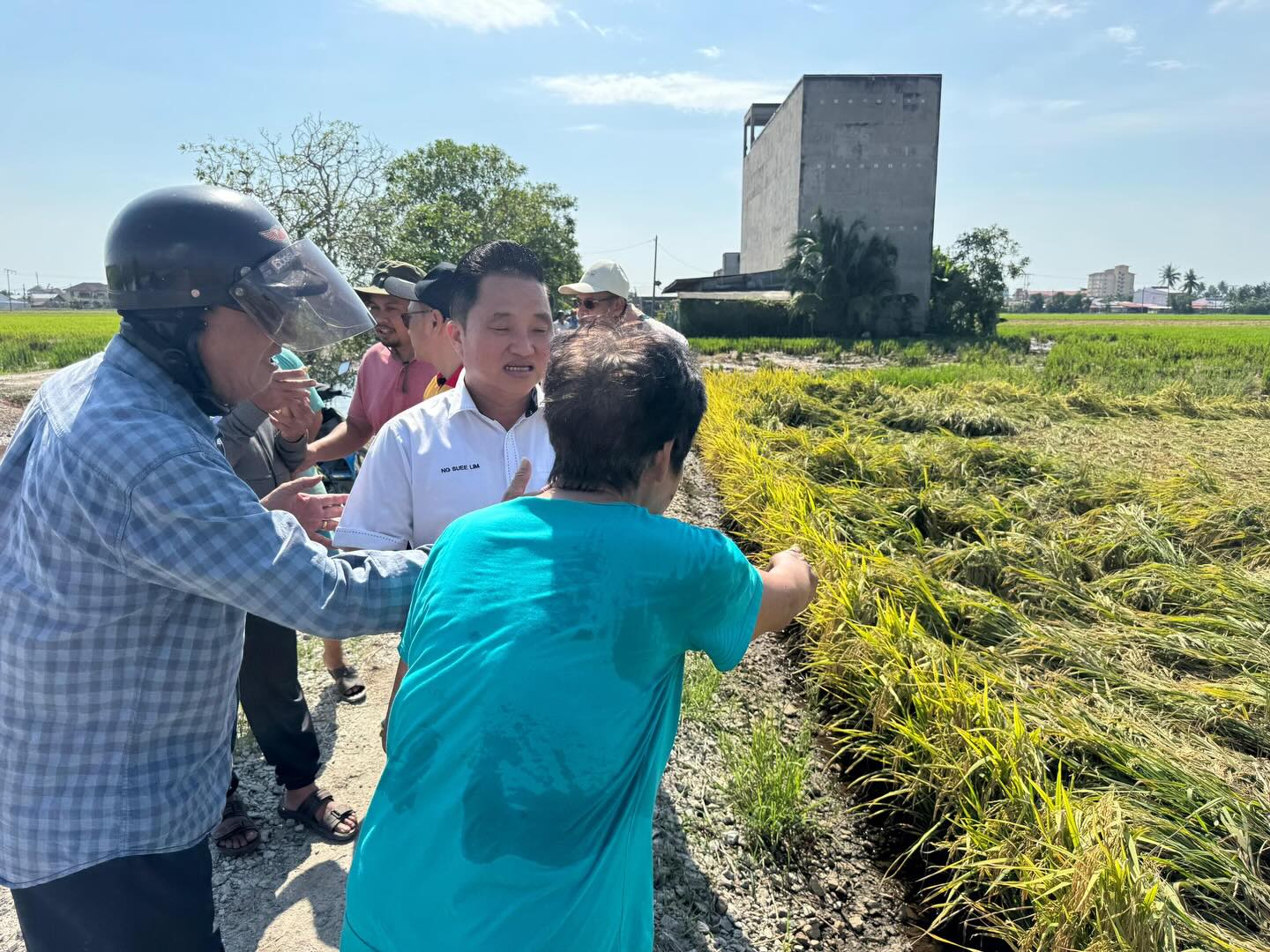 黄瑞林呼吁首相农业部长插手 拯救适耕庄稻农困境