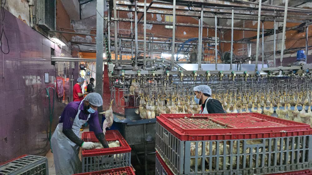 LUAS sertai operasi bersepadu kes pencemaran efluen di Puchong