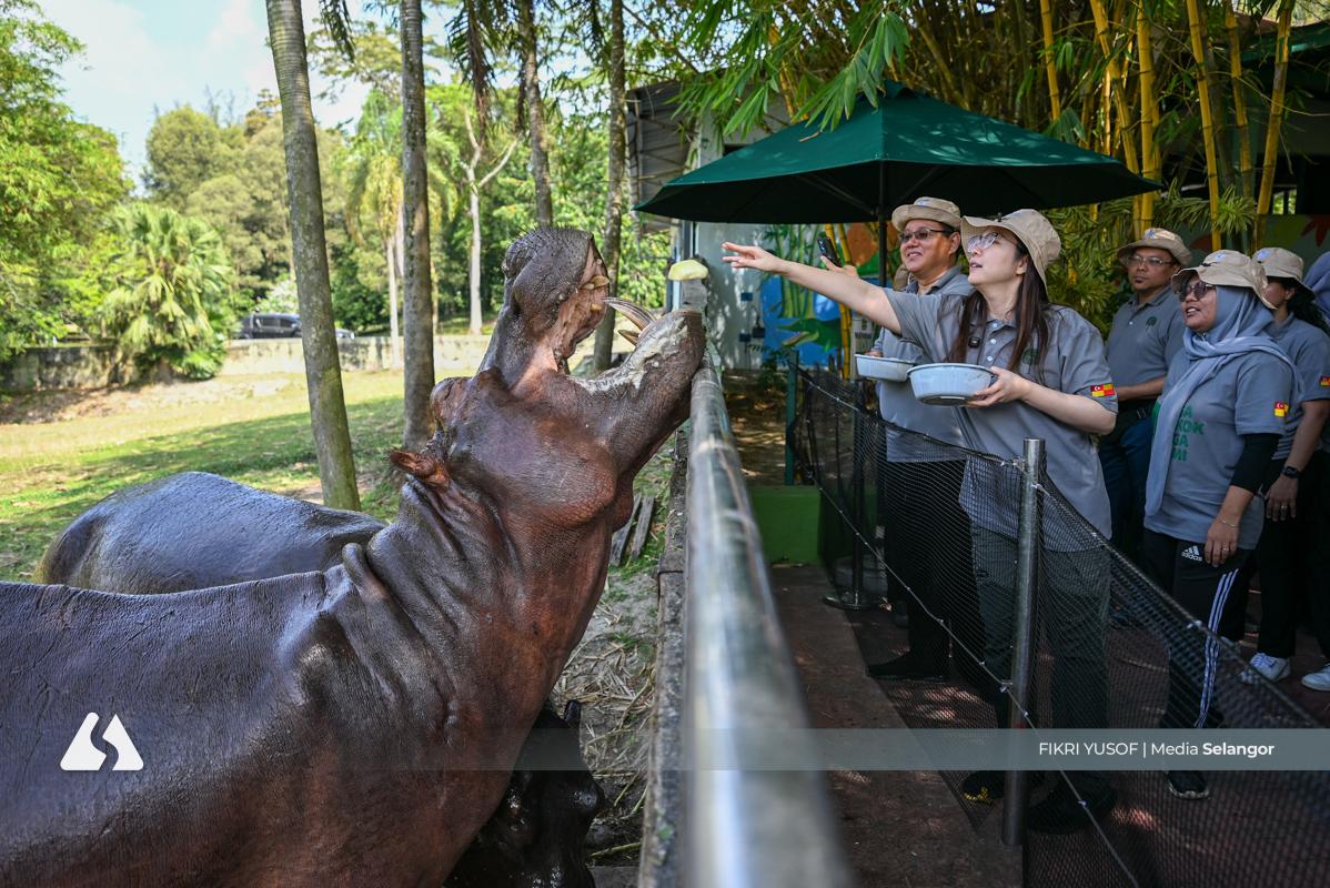 Lebih 7.4 juta pokok ditanam di Selangor, perkasa ekosistem, lestari alam sekitar