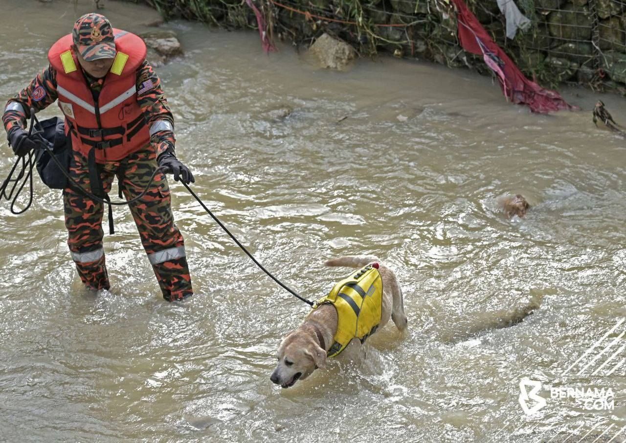 兄弟拾球被冲走案: 搜救行动扩大 派出K9犬.无人机.船寻找