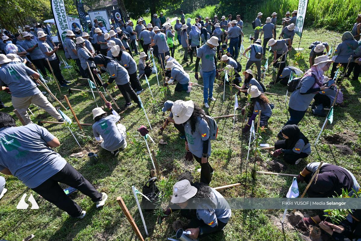 Over seven mln trees planted since 2021 in state drive for sustainability