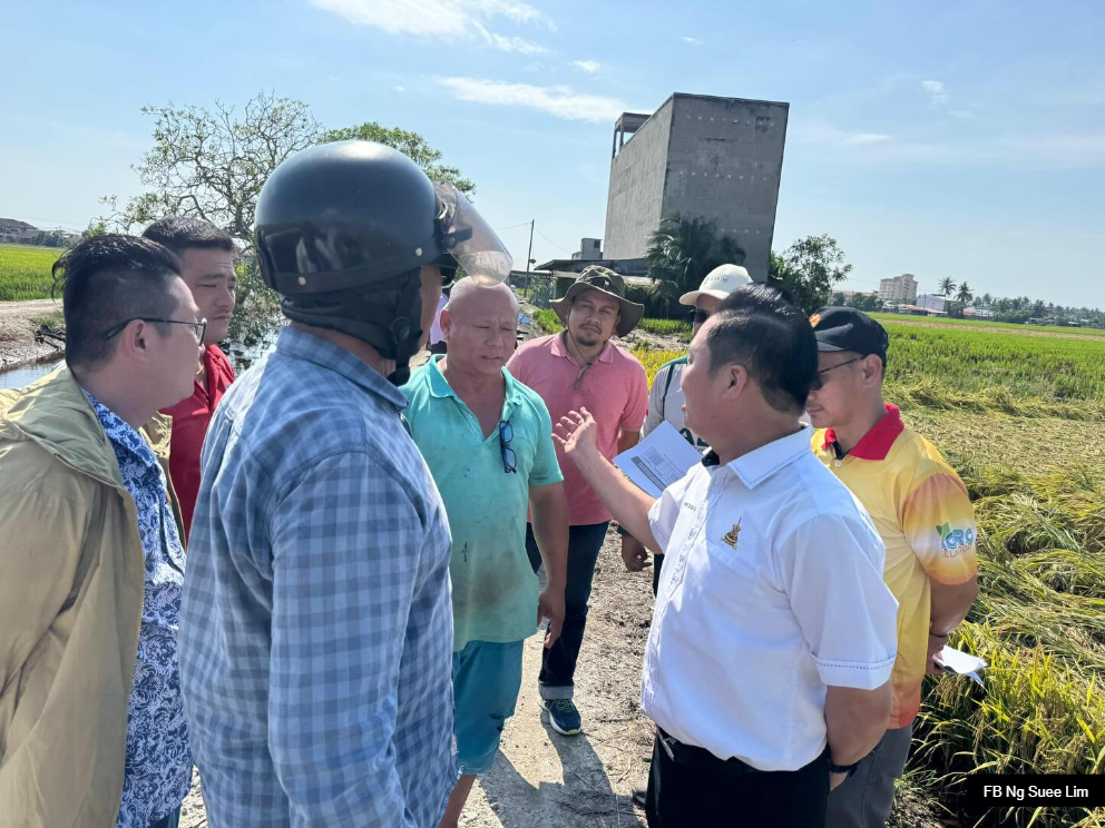暴风雨毁134份稻田.适耕庄稻农重创 黄瑞林助申请保险减损失