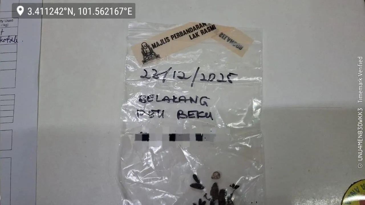 鼠粪蟑螂布满厨房  武吉布伦东一食肆被令停业14天 