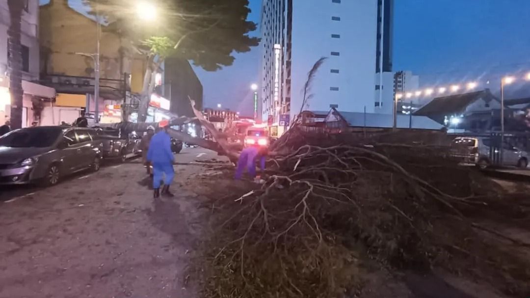 Dua remaja cedera motosikal dihempap pokok tumbang