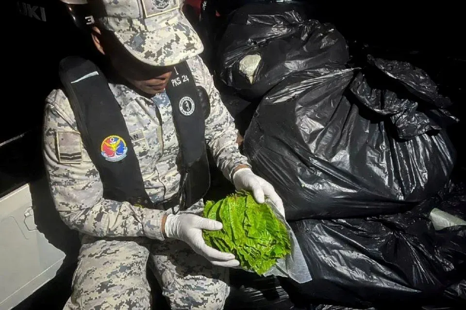 40 bungkusan daun ketum ditemui terapung di laut, cubaan seludup terbongkar