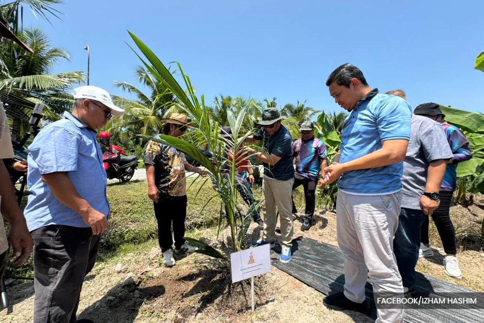 From empty lots to fresh food