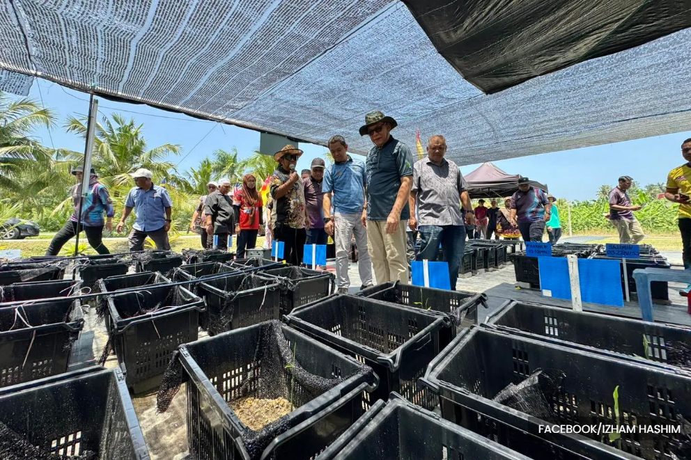 From empty lots to fresh food