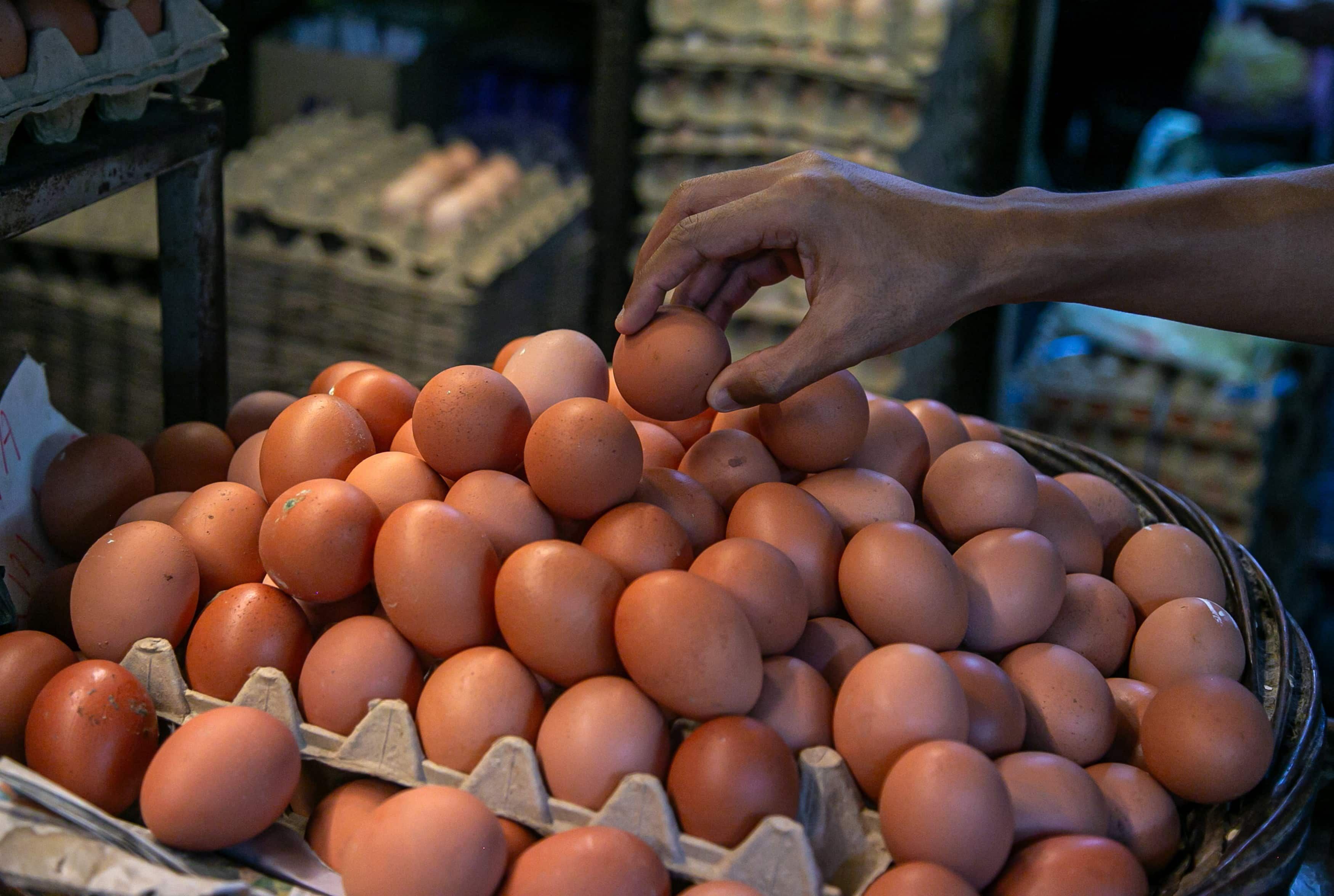 Bekalan ayam, telur stabil menjelang Ramadan