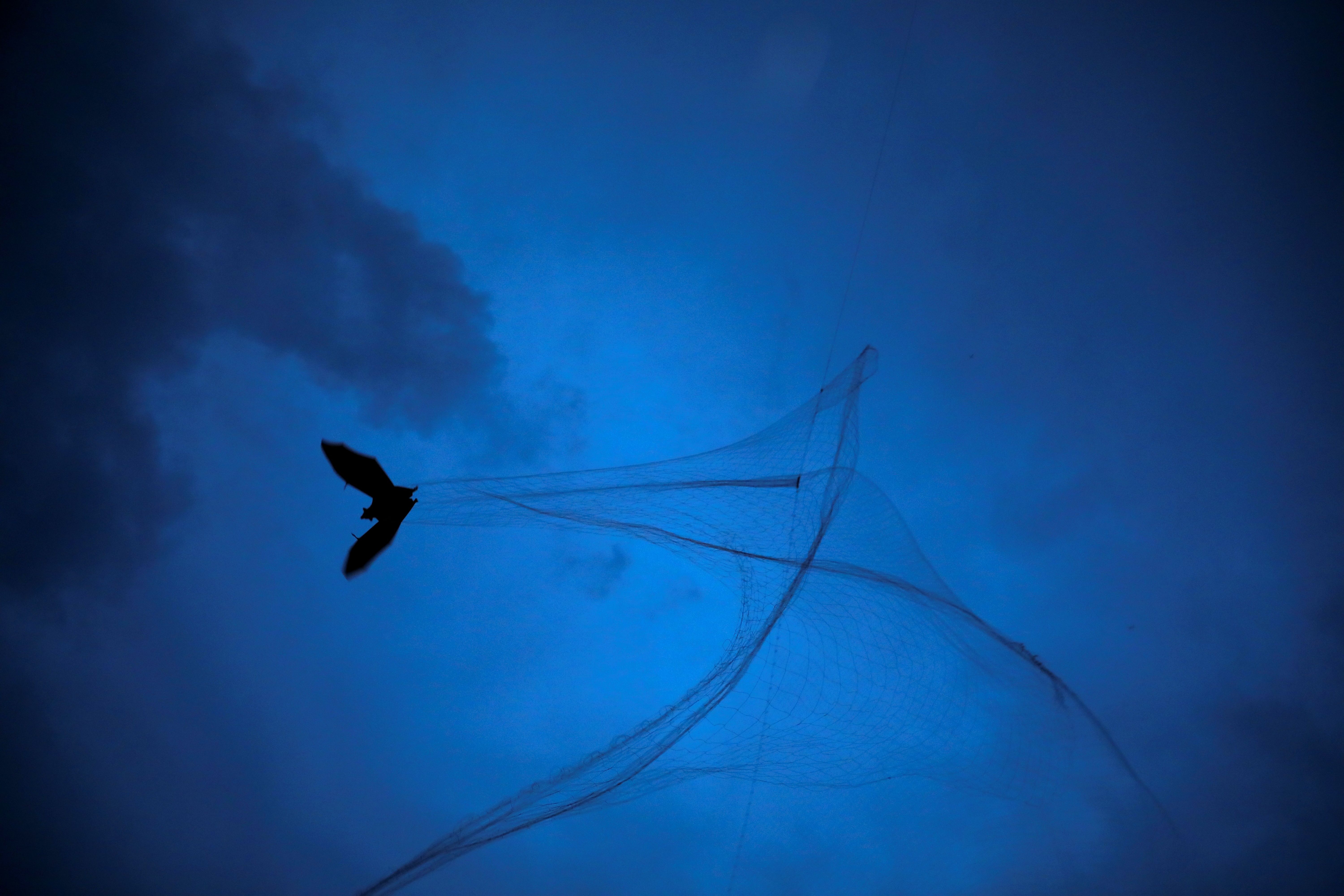 India reports two Nipah virus cases as Thailand, Malaysia step up screening