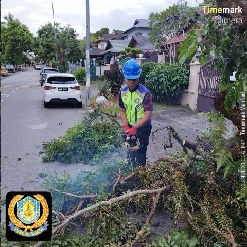安邦再也市会快速清理倒路 免影响公共安全