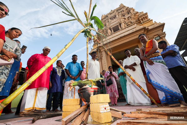 Tamil community nationwide marks Ponggal, honouring tradition, family ties