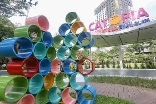 莎阿南猫咪公园仍免费开放 将设纪念品档位支持营运