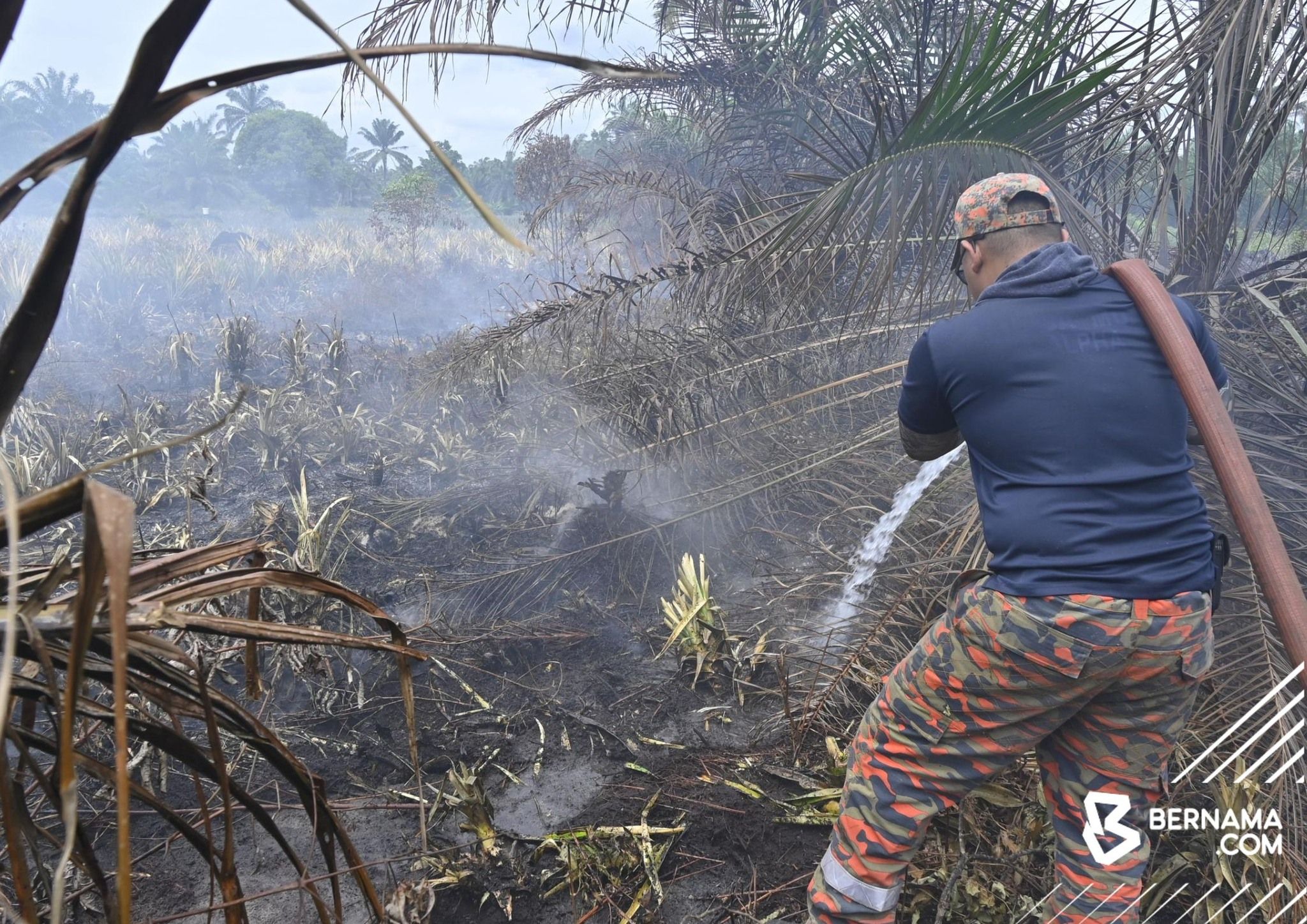 ‘Peat swamp fires have dire effect on environment, recovery takes 50 years’