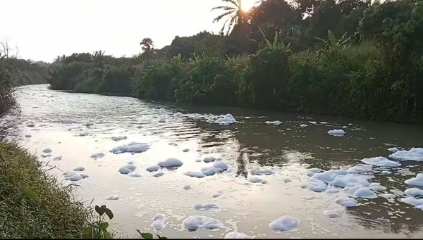 士毛月河冒泡疑受污染 LUAS启动黄色警戒彻查