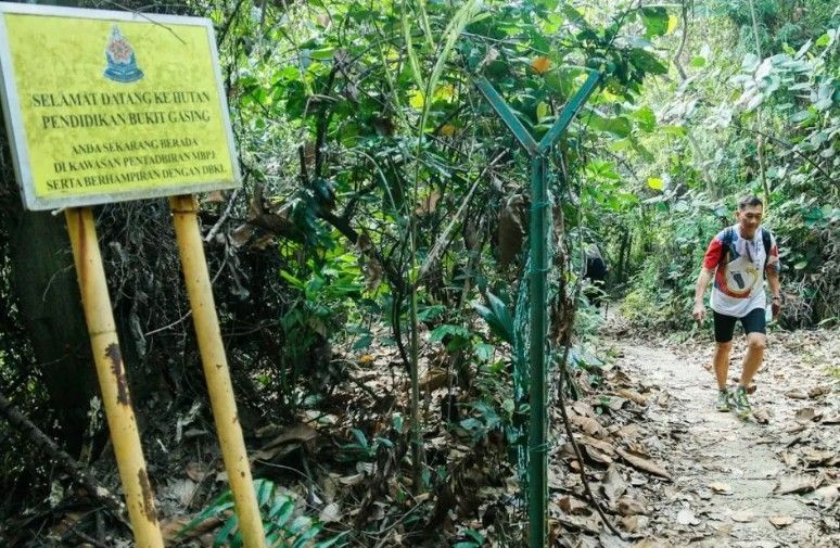 雪州生态森林公园与步道  2月1日起全面开放