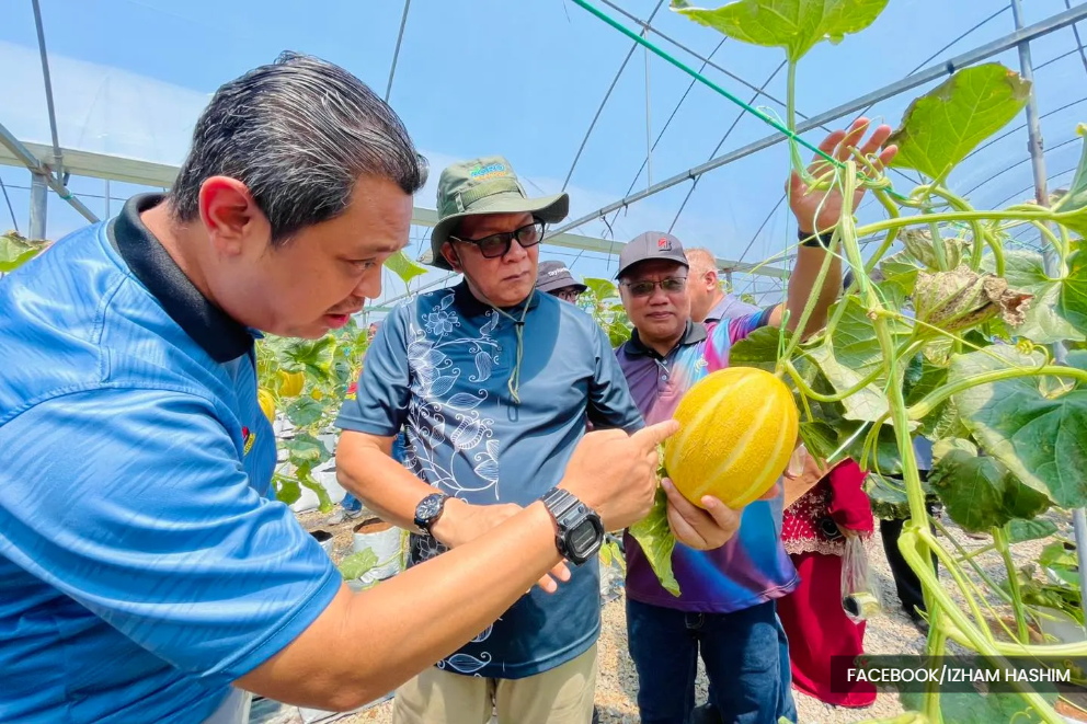From empty lots to fresh food 