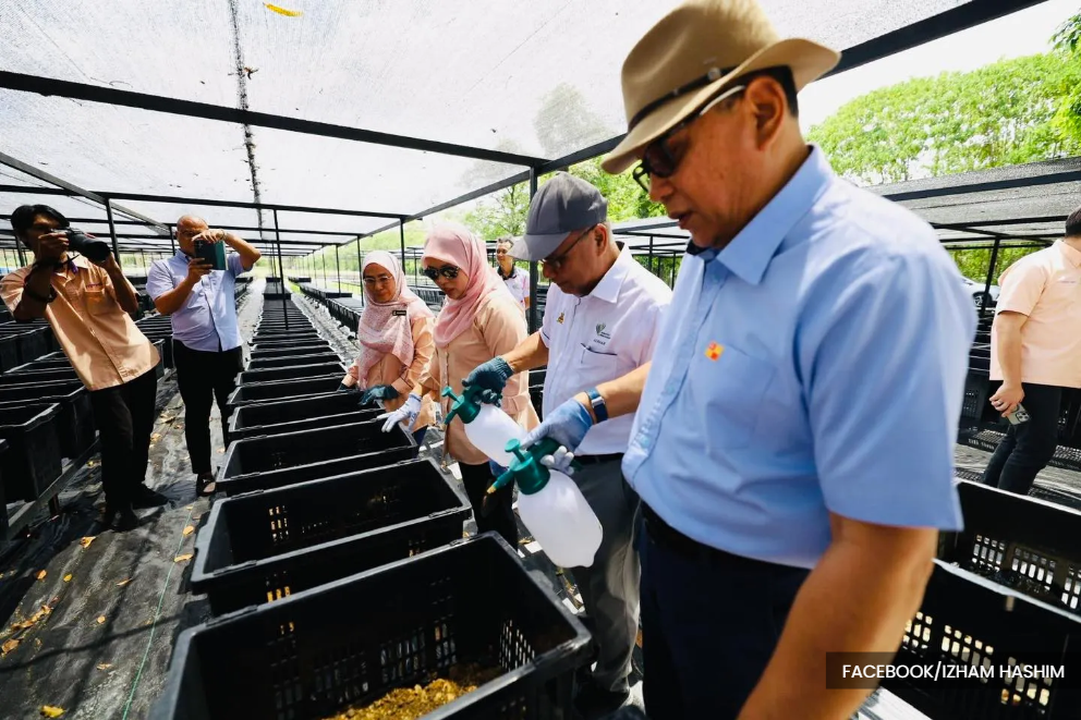 From empty lots to fresh food