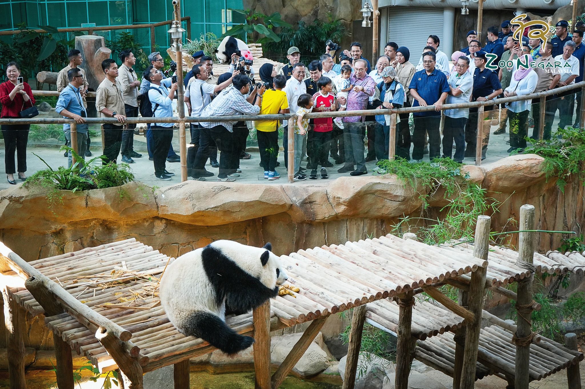 欢迎大熊猫旅居大马 雪大臣:带动旅游业