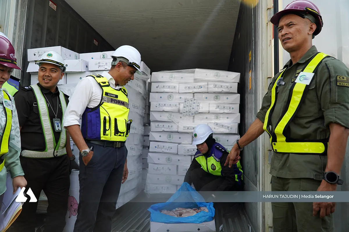 疑农历新年需求激增 巴生港口起获76吨走私猪肉