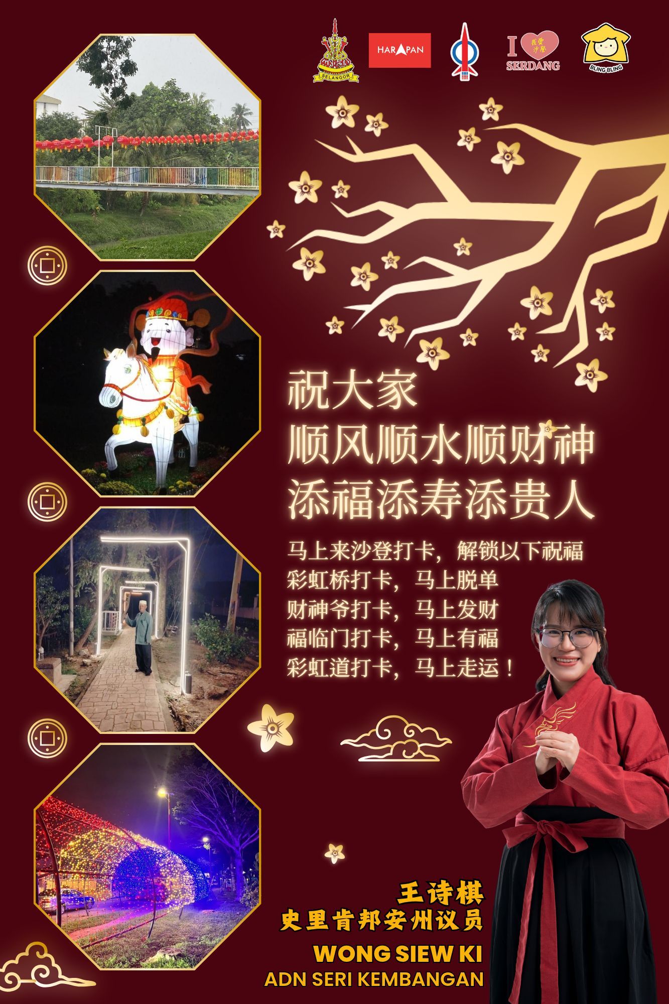 彩灯装置点亮沙登  夜晚璀璨迎新春吸引民众