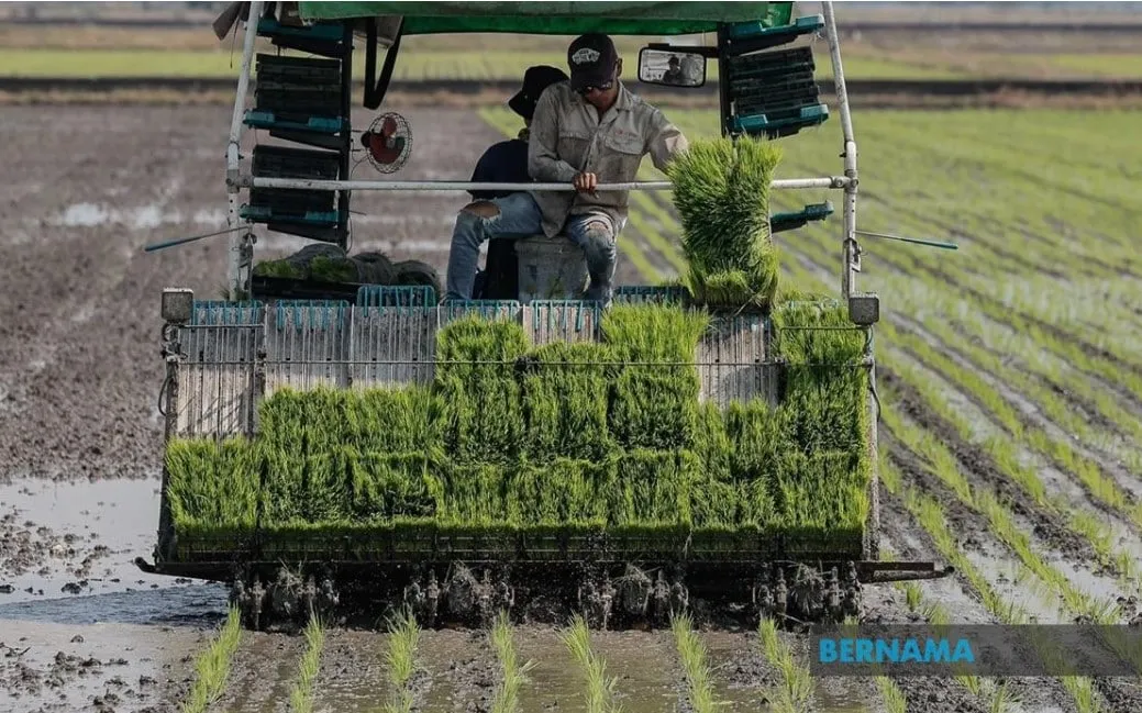 KPKM laksana pelan modenkan pengairan padi di Sawah Sempadan dan Sungai Burong