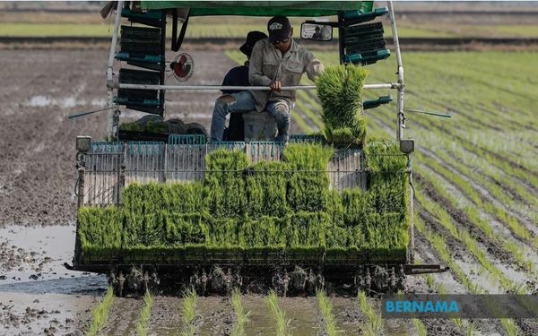 KPKM laksana pelan modenkan pengairan padi di Sawah Sempadan dan Sungai Burong