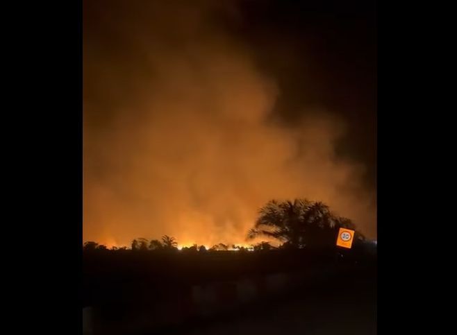 万津滤水站附近火灾  林火殃及4公顷