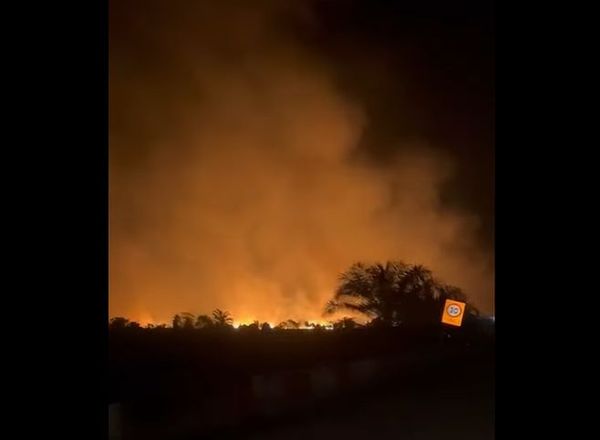 万津滤水站附近火灾 林火殃及4公顷