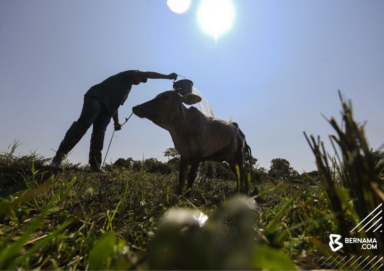 NADMA laksana operasi pembenihan awan di Johor, Kedah, Perak mulai esok