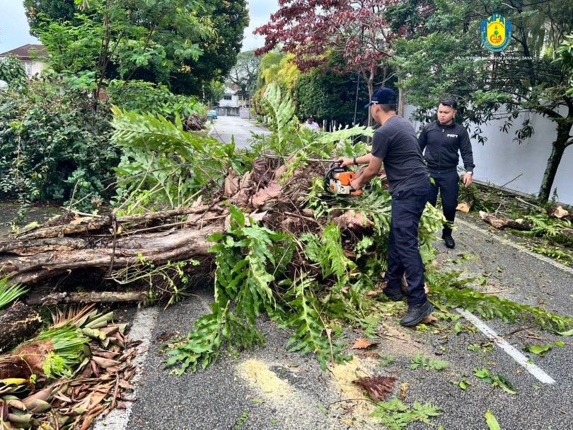 அம்பாங் ஜெயா நகராட்சி மன்றம் விழுந்த மரத்தை உடனடியாக அகற்றியது