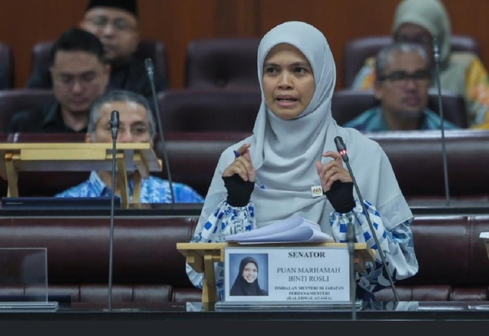 建议“异化现象”取代LGBT用词 玛哈玛：控制社媒演算法传播