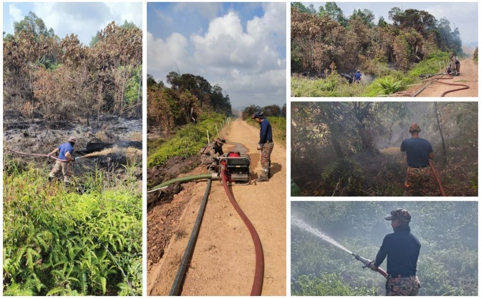 南马121.4公顷森林林火  火势至今早已减弱