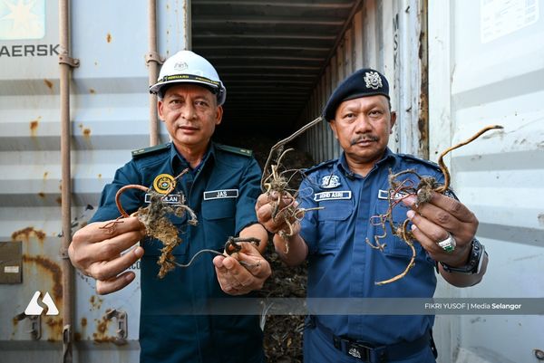 Kastam tumpas cubaan seludup masuk sisa elektronik bernilai RM2.15 juta
