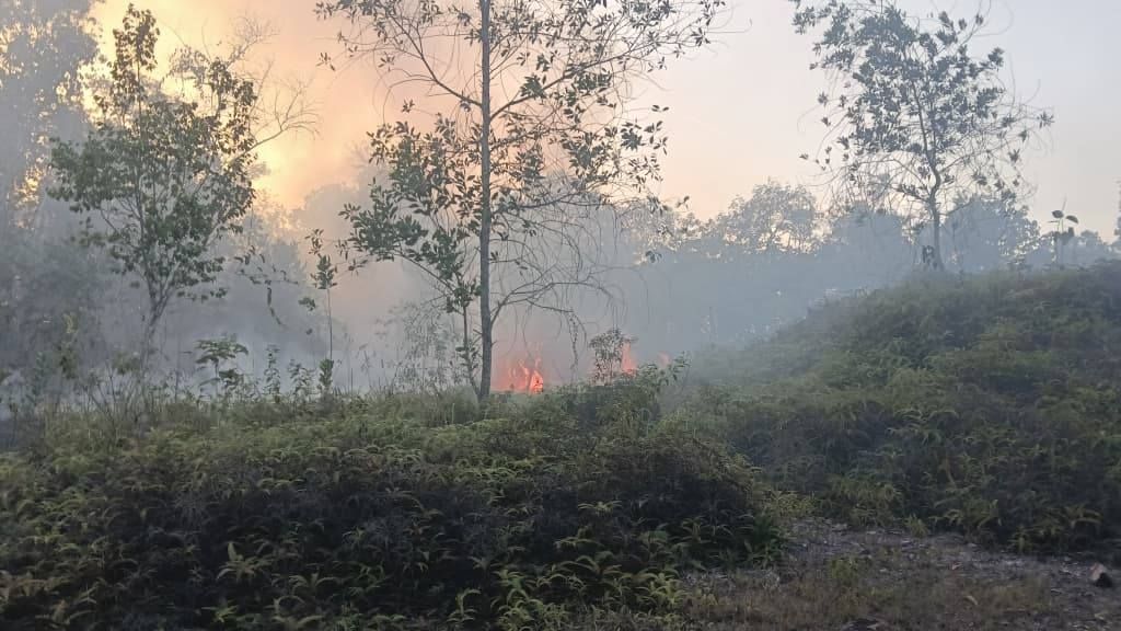 天气炎热加露天焚烧 乌雪一日内连发7宗火灾