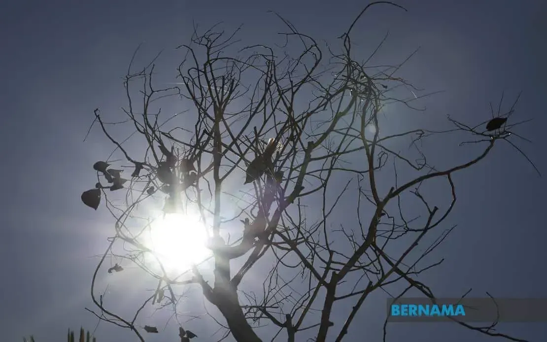 Cuaca panas: Pendang, Pokok Sena, Baling dilanda gelombang haba