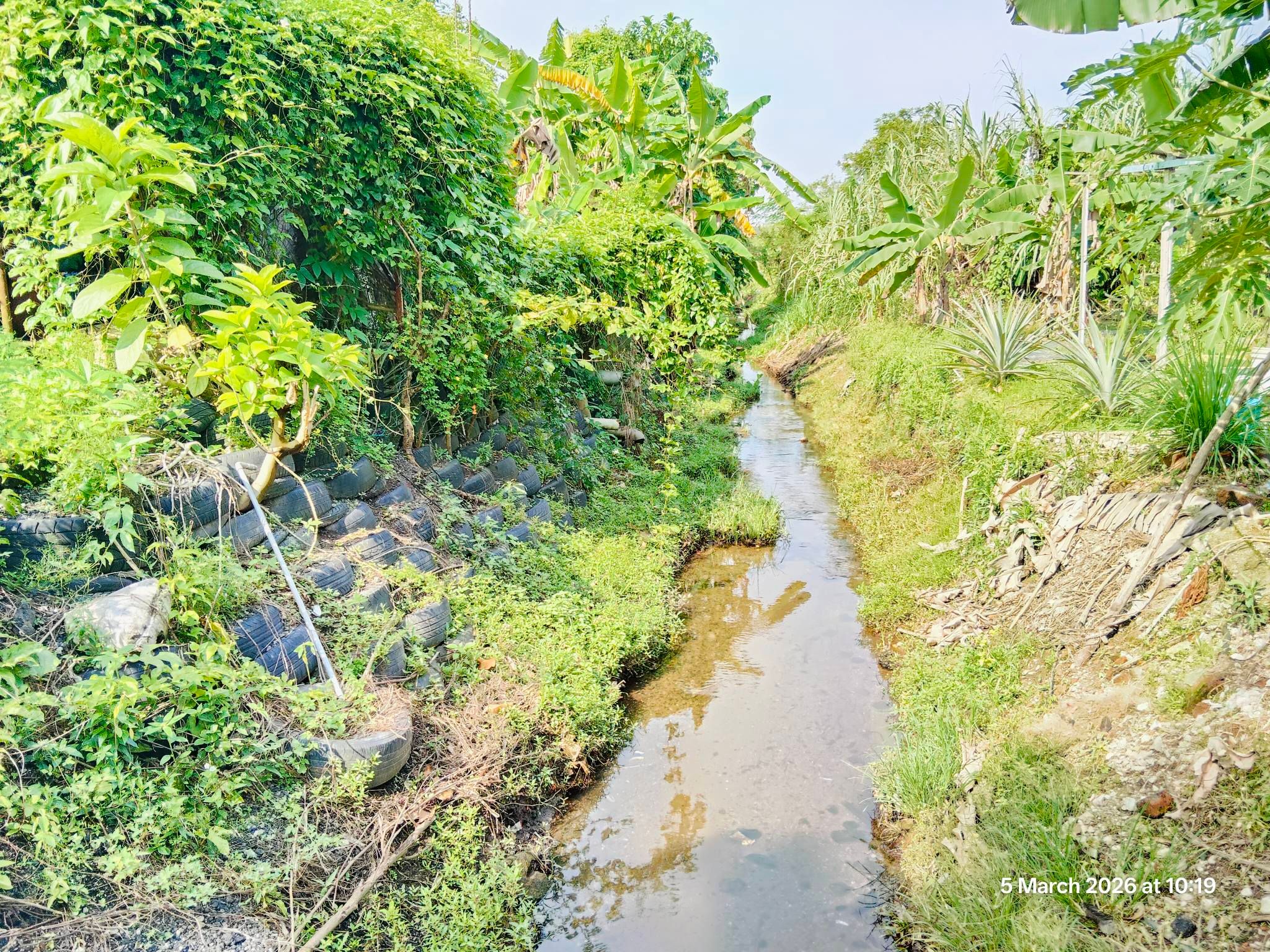 乌鲁市议会维护排水系统 降低简邦花园水灾风险