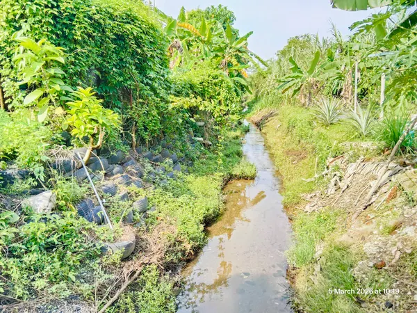 乌鲁市议会维护排水系统 降低简邦花园水灾风险
