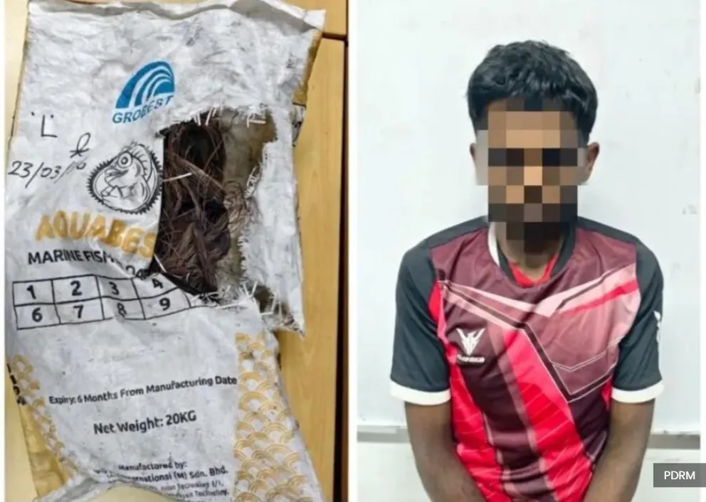 24岁男子偷窃电缆被捕！