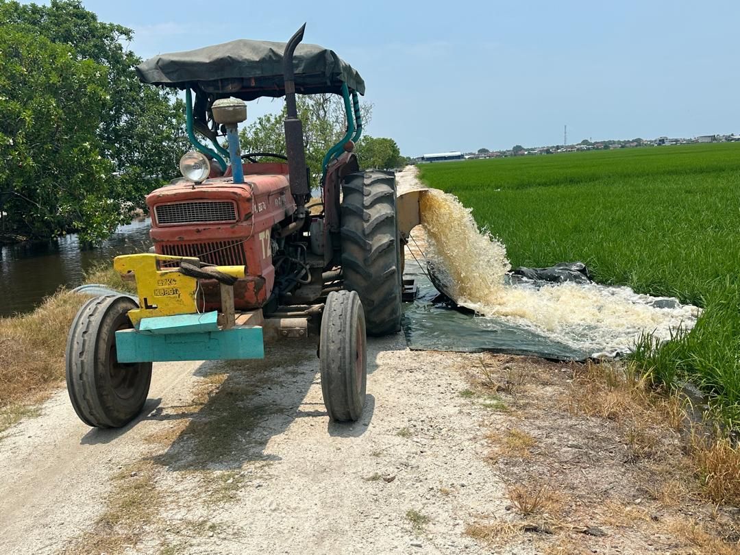 稻田灌浆期遇干旱频抽水 黄亚祥促防护免道路损坏