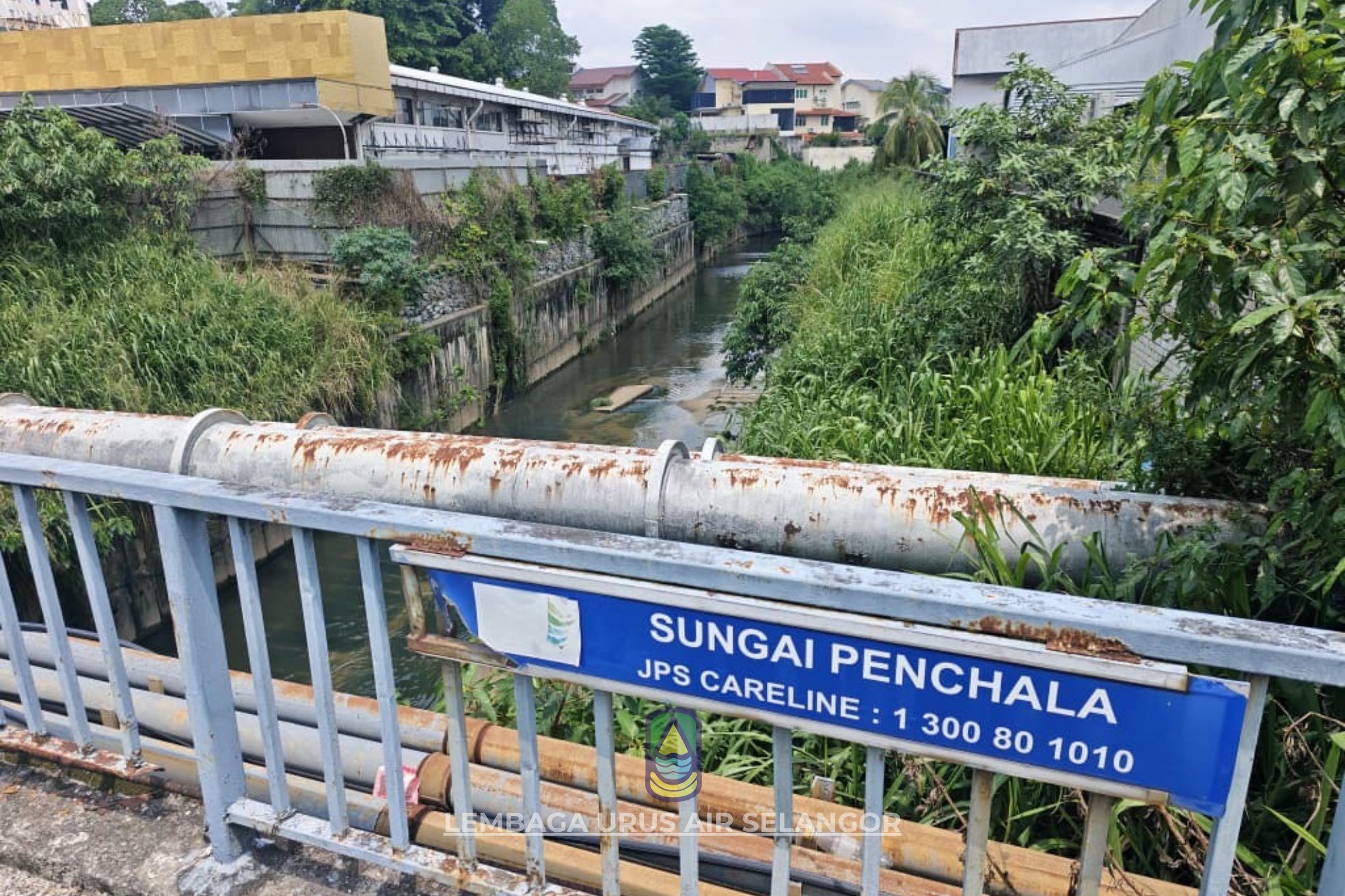 Aliran sisa industri disyaki punca air berbuih, ikan mati di Sungai Penchala